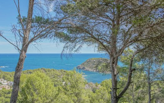 BP6292JAV – Grondstuk in Portixol Javea