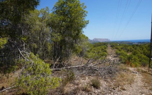 AC4199-EV/10244 – Plot in Altea ALICANTE