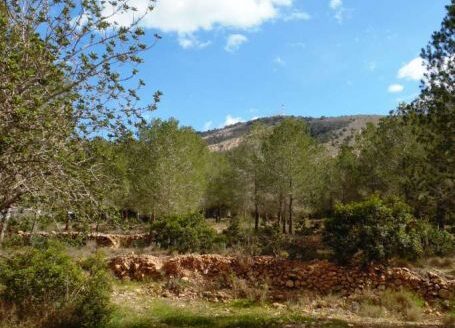 AC2234-AN/10244 – Plot in Alfaz del Pi ALICANTE