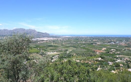 PDLS-0479 – Undeveloped Land in Pedreguer Alicante