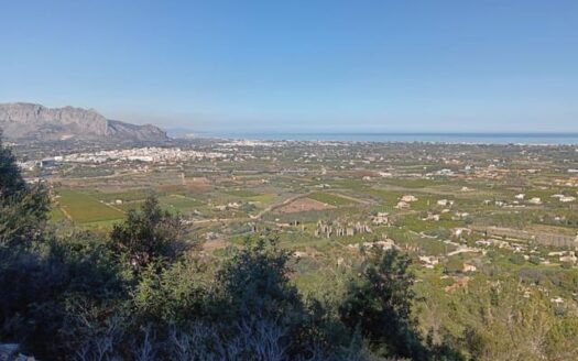 PDLS-0001 – Undeveloped Land in Pedreguer Alicante