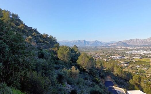 PDLS-0001 – Undeveloped Land in Pedreguer Alicante