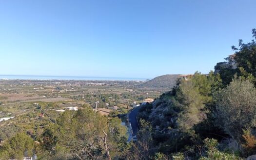 PDLS-0001 – Undeveloped Land in Pedreguer Alicante