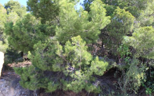 GTA – 3285 – Plot in Altea Alicante