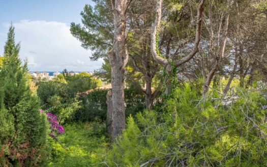 BP4131JAV – Grondstuk in Adsubia Javea