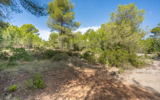 BP4132JAV – Grondstuk in Pinosol Javea