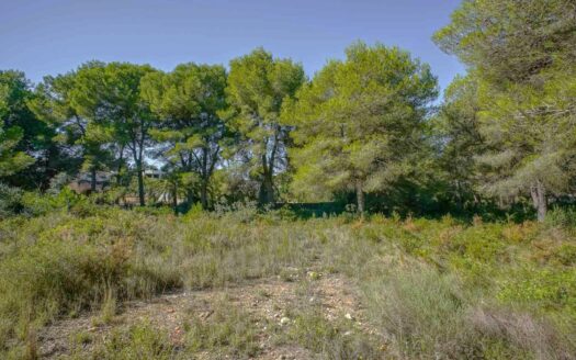 BP4140JAV – Grondstuk in Portichol Javea