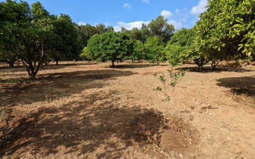 BP8013DEN – Finca in Sportcentrum Denia