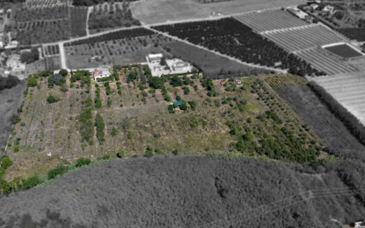 BP4564JAV – Villa in Montgo Javea