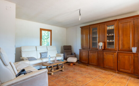 BP8295PED – Villa in  Pedreguer