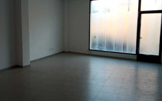 TPTJL001 – Commercial in Jalon Alicante