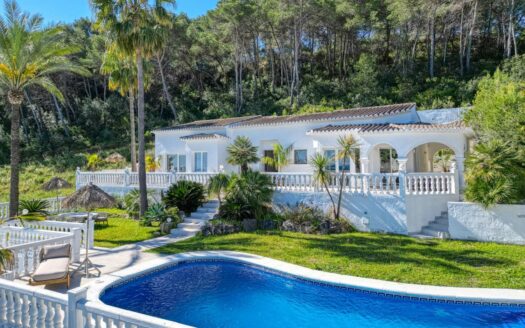 BPC3XY4646JAV – Villa in Piver Javea